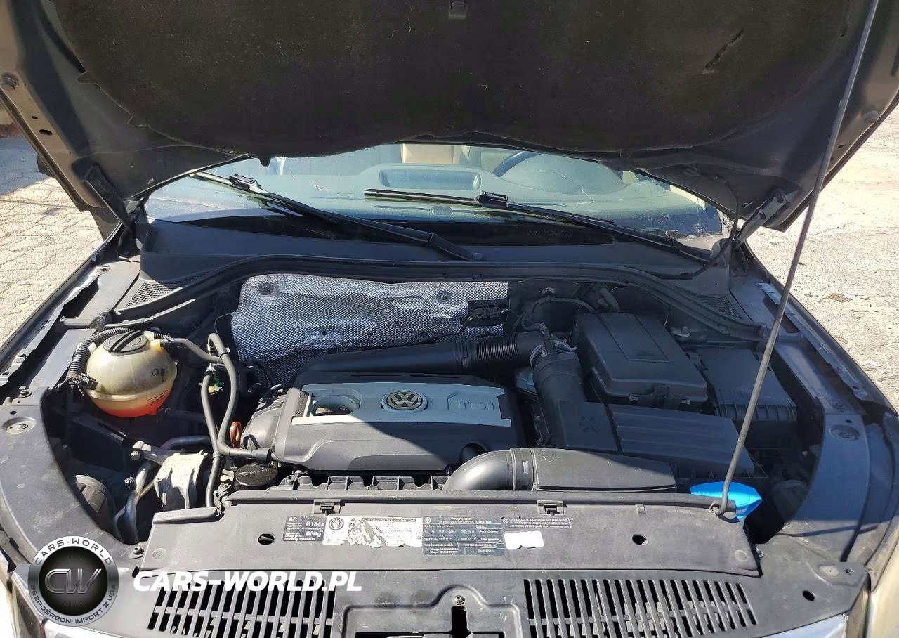 2011 Volkswagen Tiguan S VIN:WVGBV7AX6BW500528 - 11
