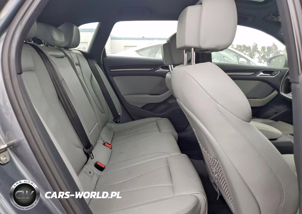2017 Audi A3 E-Tron Premium Plus VIN:WAUTPBFF6HA103409 - 10