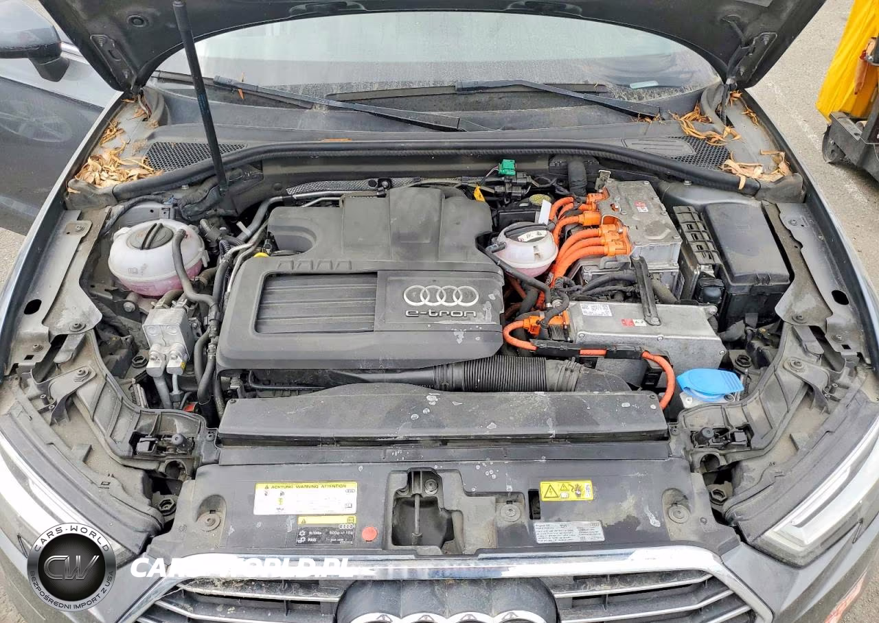 2017 Audi A3 E-Tron Premium Plus VIN:WAUTPBFF6HA103409 - 11