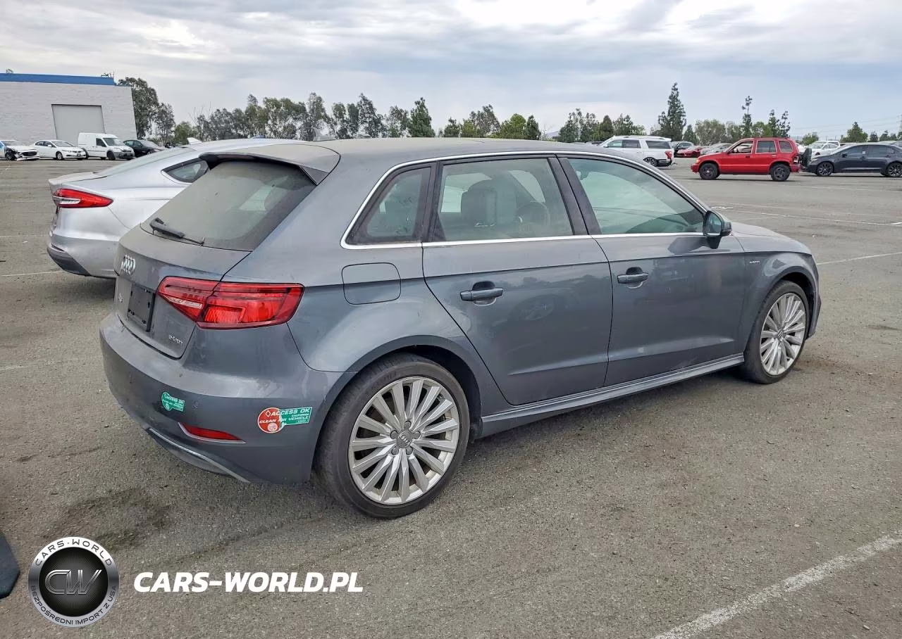 2017 Audi A3 E-Tron Premium Plus VIN:WAUTPBFF6HA103409 - 3