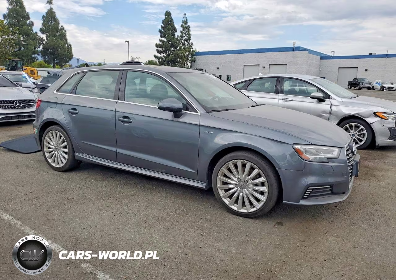 2017 Audi A3 E-Tron Premium Plus VIN:WAUTPBFF6HA103409 - 4