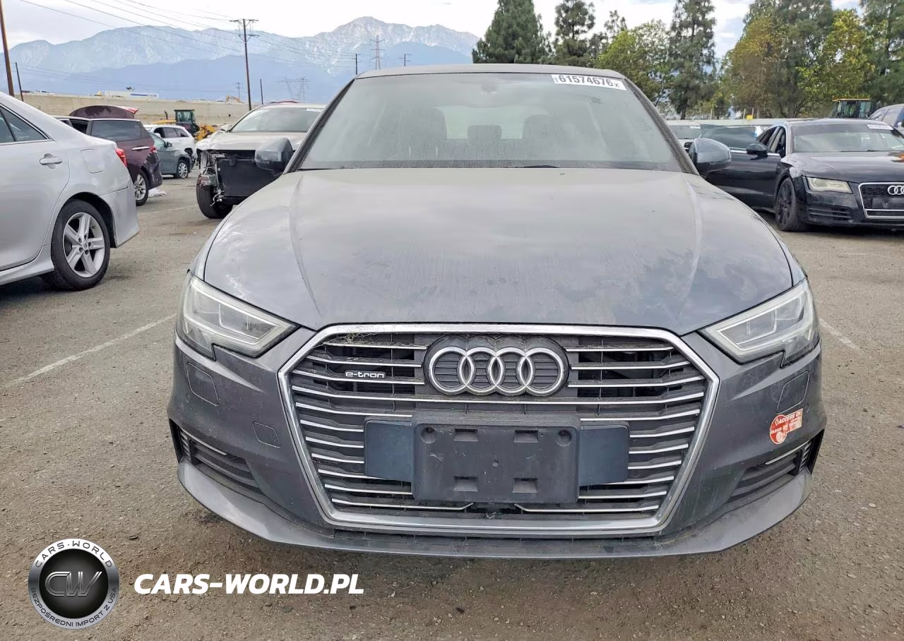 2017 Audi A3 E-Tron Premium Plus VIN:WAUTPBFF6HA103409 - 5