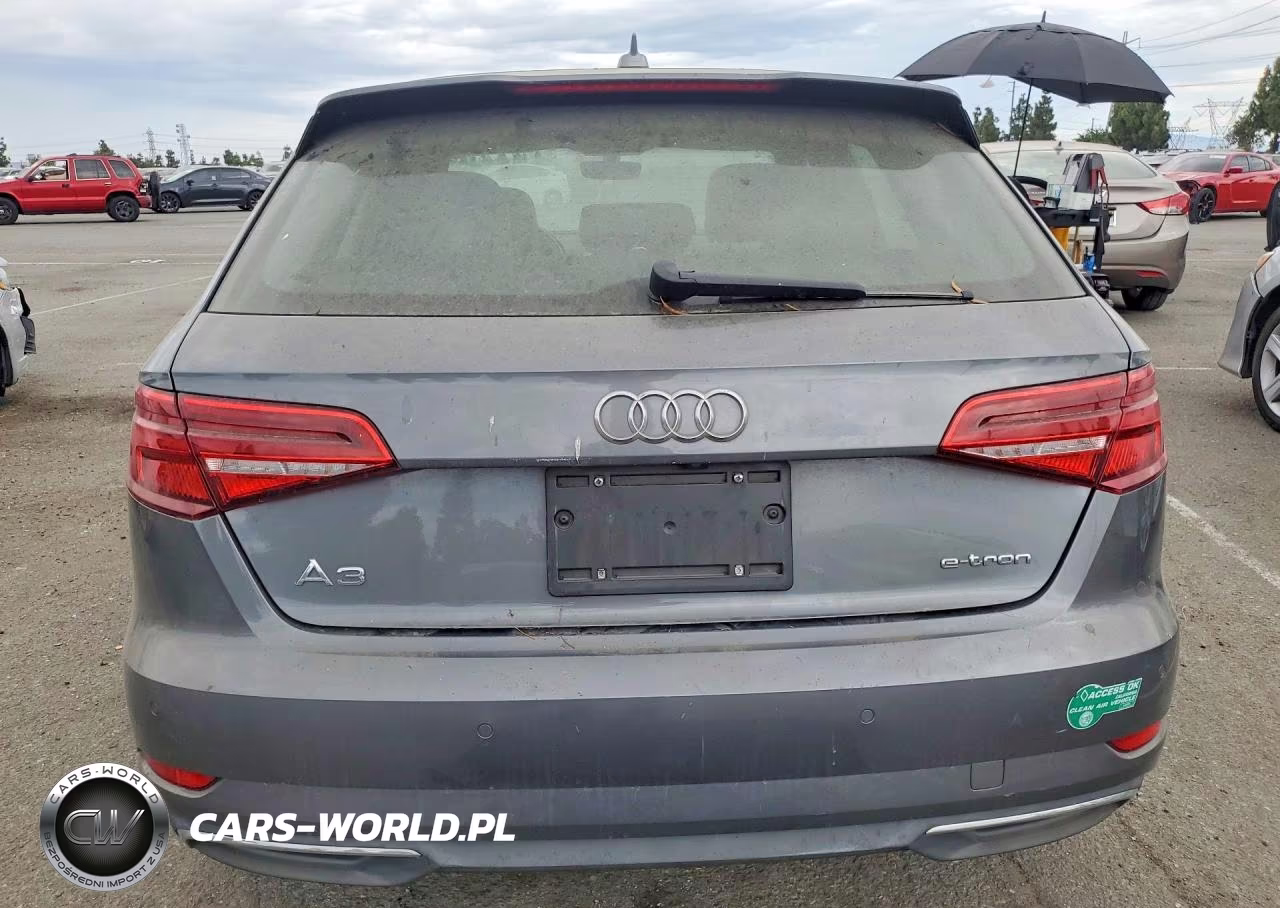 2017 Audi A3 E-Tron Premium Plus VIN:WAUTPBFF6HA103409 - 6