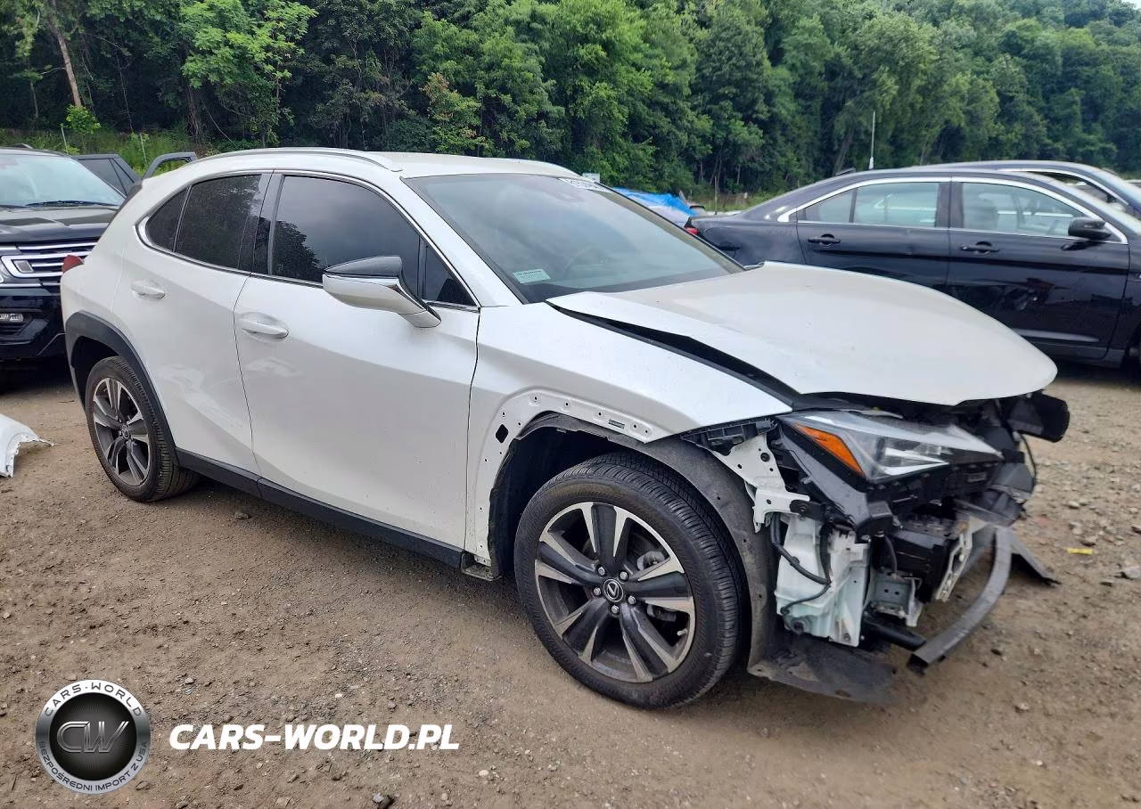 2022 Lexus Ux 200 Base VIN:JTHX3JBH0N2055489 - 4