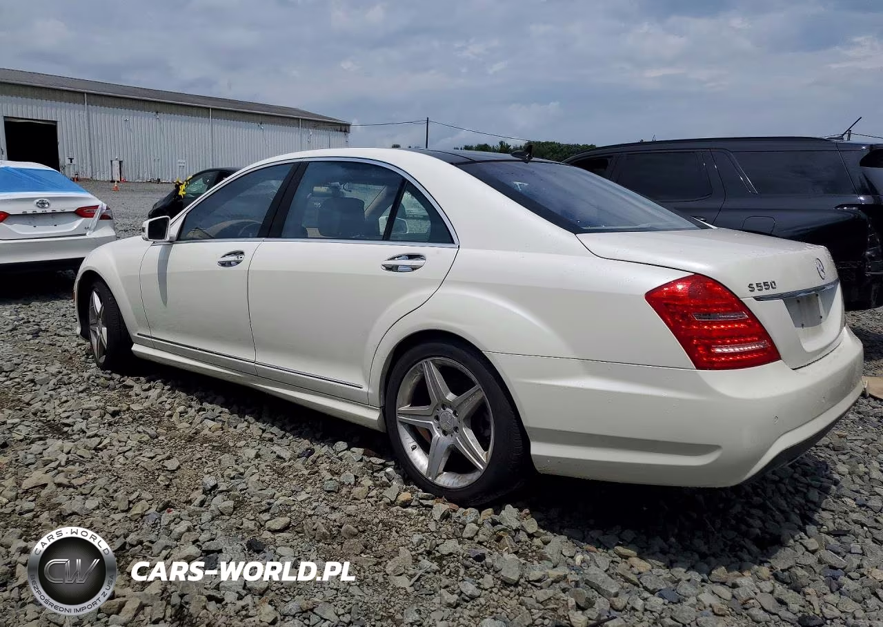 2010 Mercedes-Benz S 550 VIN:WDDNG7BB7AA356813 - 2