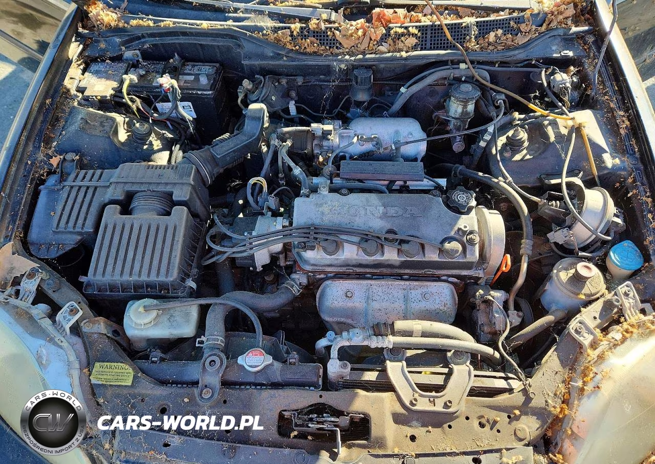 1999 Honda Civic Ex VIN:1HGEJ824XXL035480 - 11