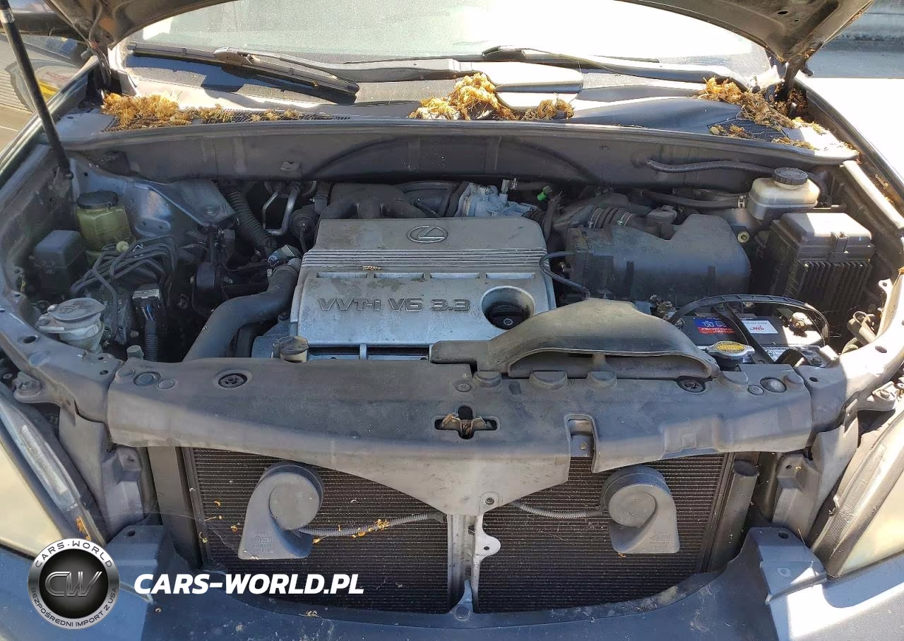 2004 Lexus Rx 330 4D Suv Fwd VIN:JTJGA31U340035357 - 12
