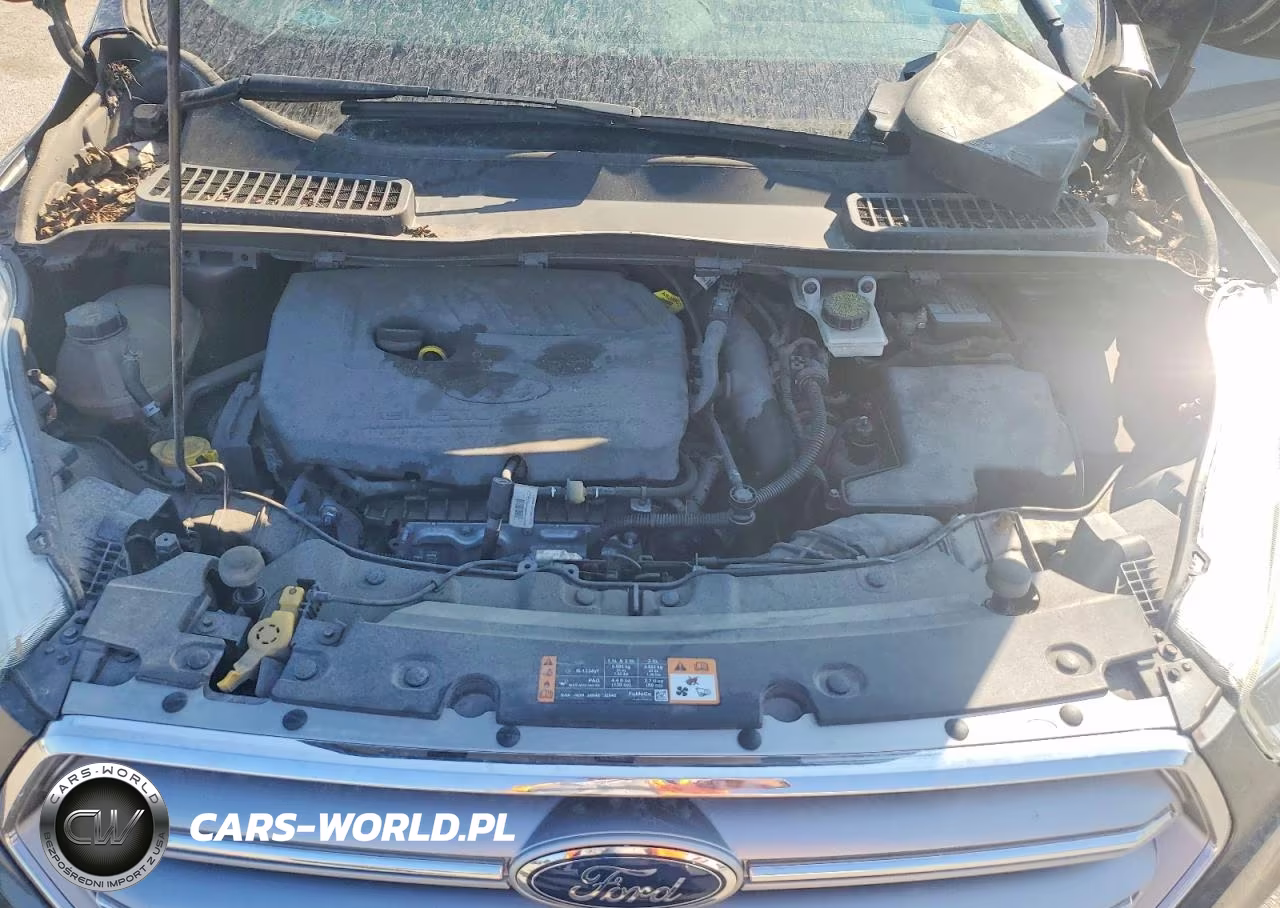 2017 Ford Escape Se VIN:1FMCU0GD4HUE66928 - 11