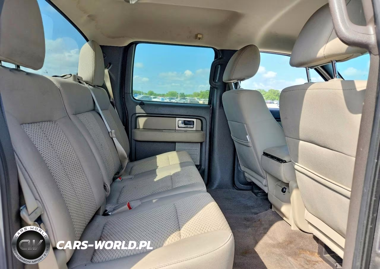 2010 Ford F150 Supercrew VIN:1FTEW1E89AFC27453 - 10