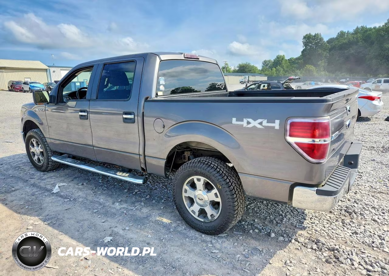 2010 Ford F150 Supercrew VIN:1FTEW1E89AFC27453 - 2
