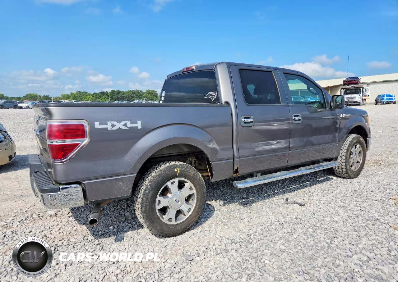 2010 Ford F150 Supercrew VIN:1FTEW1E89AFC27453 - 3