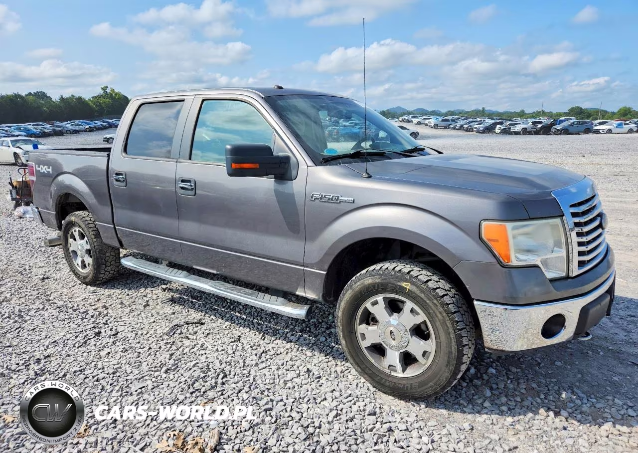 2010 Ford F150 Supercrew VIN:1FTEW1E89AFC27453 - 4