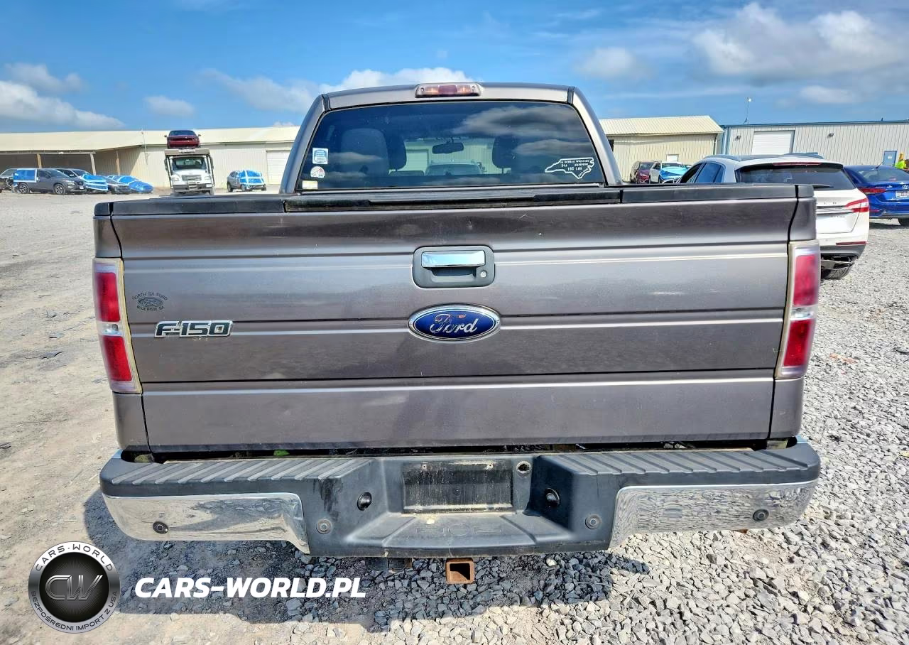 2010 Ford F150 Supercrew VIN:1FTEW1E89AFC27453 - 6