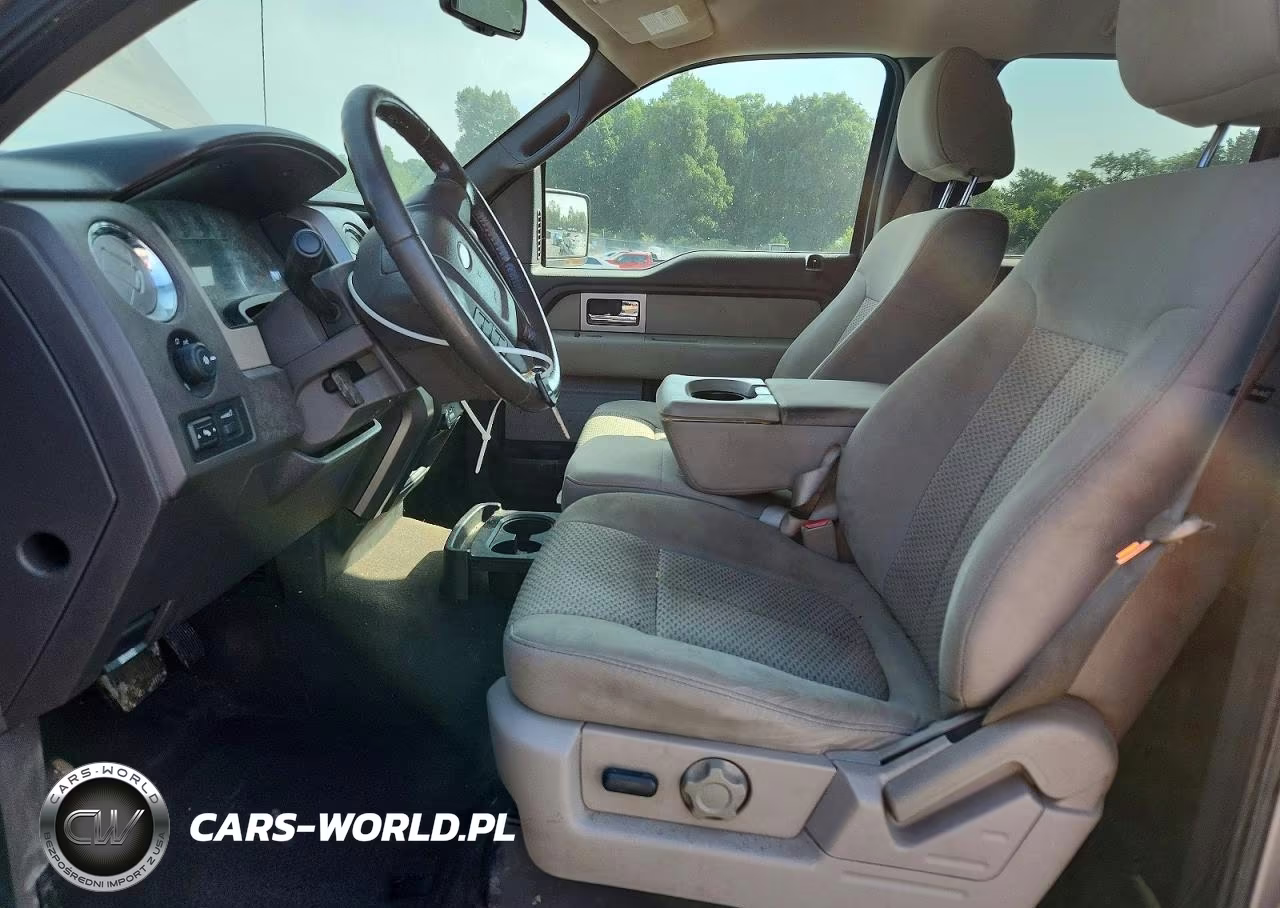 2010 Ford F150 Supercrew VIN:1FTEW1E89AFC27453 - 7