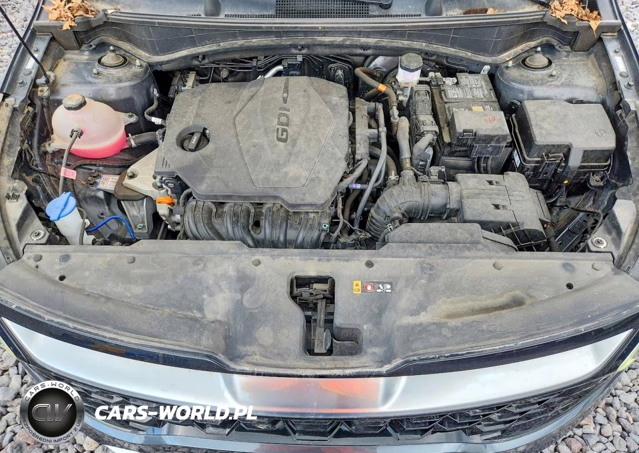 2023 Kia Sportage Sx VIN:5XYK43AF0PG058972 - 11