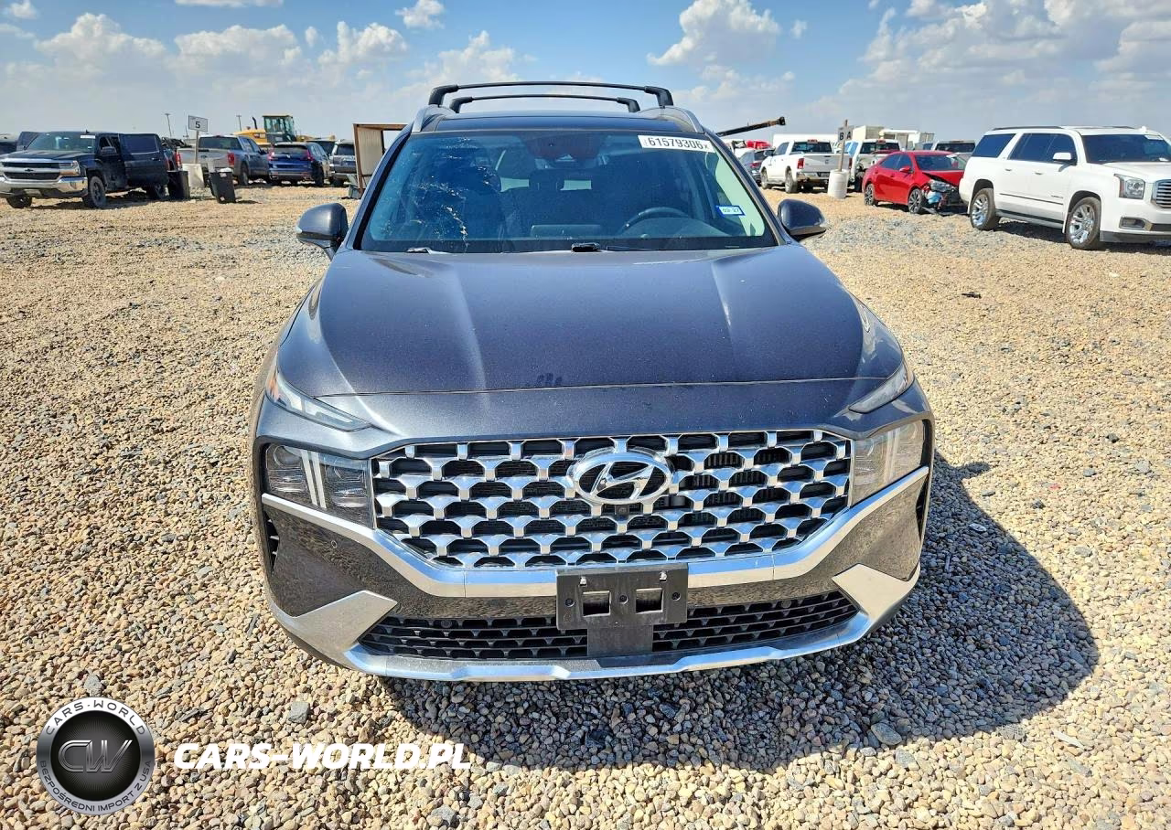 2021 Hyundai Santa Fe Limited VIN:5NMS4DAL5MH366152 - 5