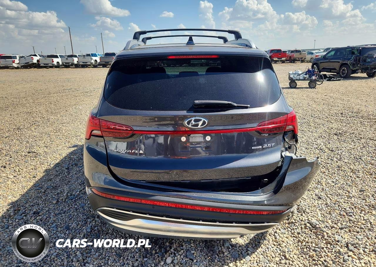 2021 Hyundai Santa Fe Limited VIN:5NMS4DAL5MH366152 - 6