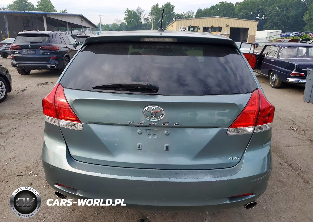 2010 Toyota Venza VIN:4T3BK3BB8AU031657 - 6