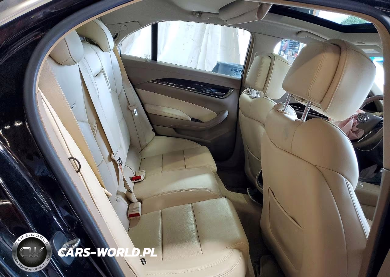 2014 Cadillac Cts Luxury Collection VIN:1G6AX5SX6E0191988 - 10