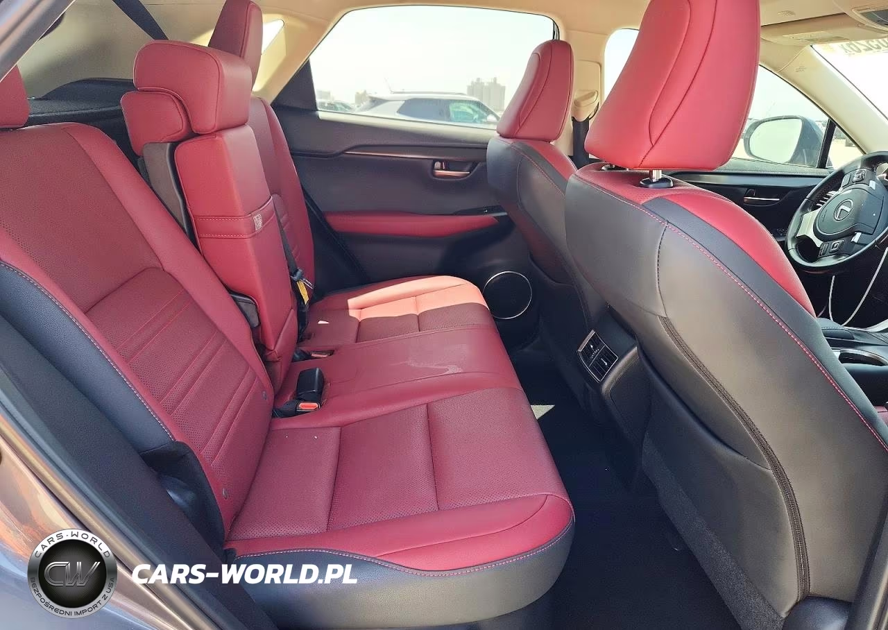 2021 Lexus Nx 300 Base VIN:JTJGARBZ6M2186484 - 10