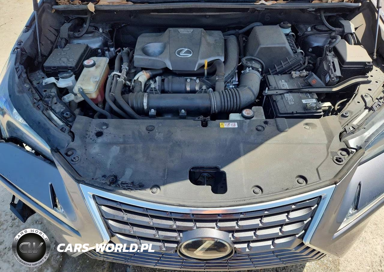2021 Lexus Nx 300 Base VIN:JTJGARBZ6M2186484 - 11