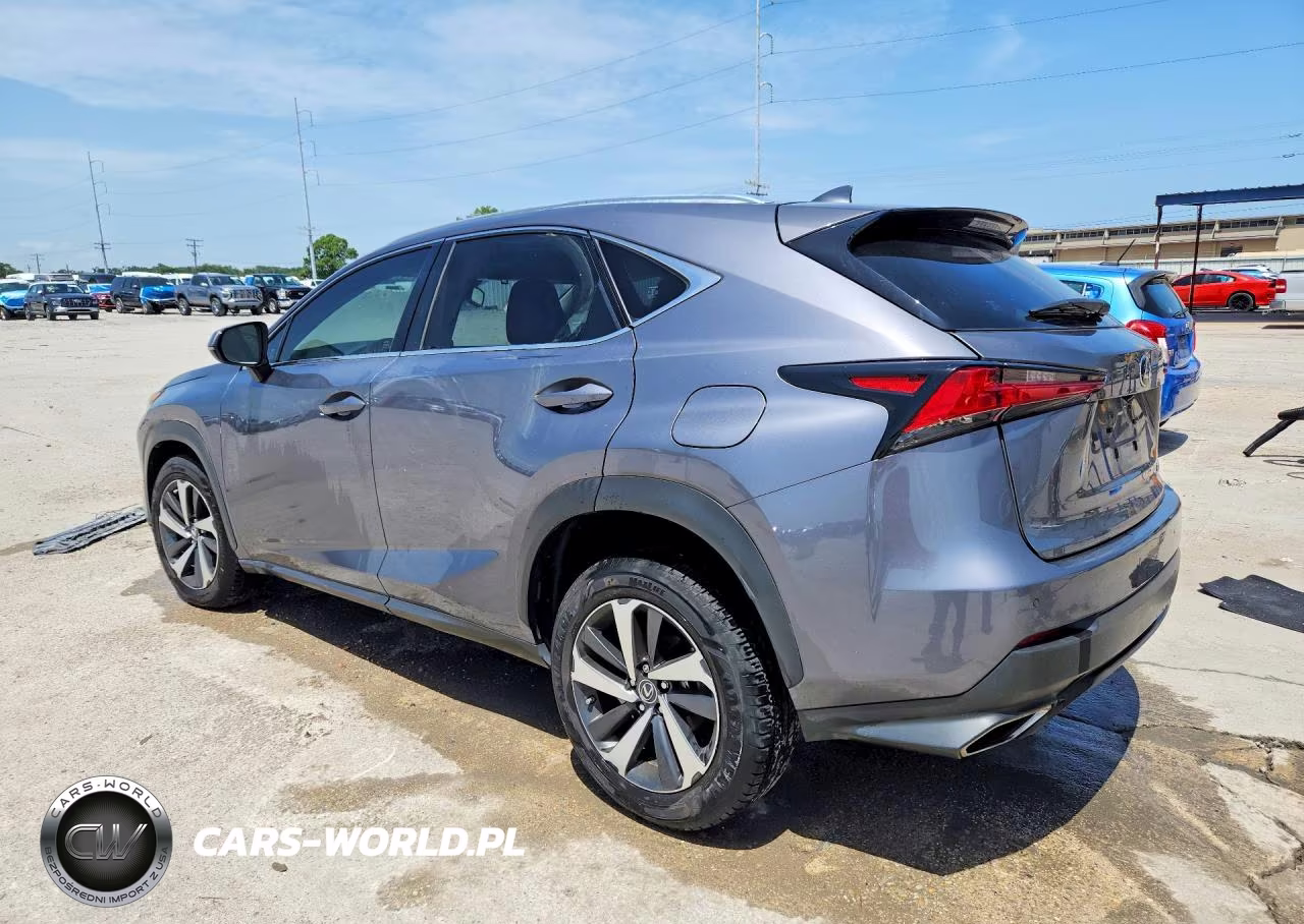 2021 Lexus Nx 300 Base VIN:JTJGARBZ6M2186484 - 2
