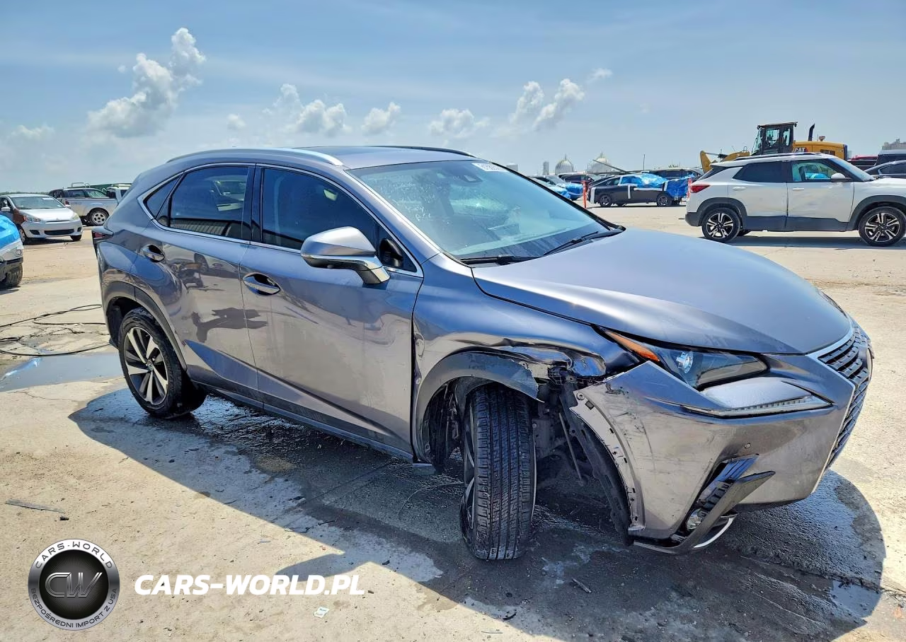 2021 Lexus Nx 300 Base VIN:JTJGARBZ6M2186484 - 4