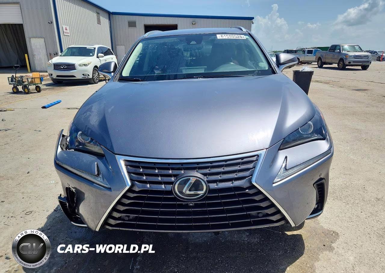 2021 Lexus Nx 300 Base VIN:JTJGARBZ6M2186484 - 5