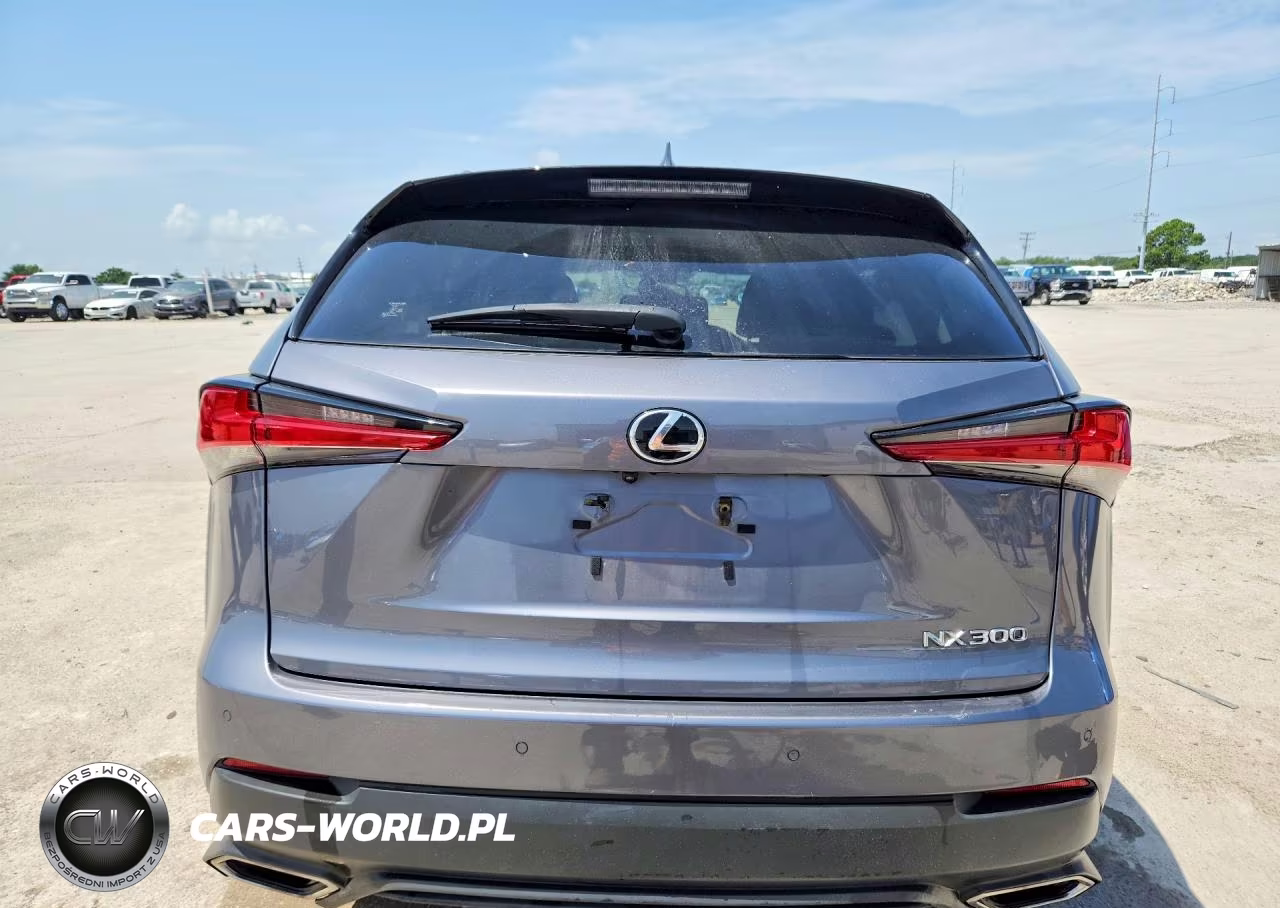 2021 Lexus Nx 300 Base VIN:JTJGARBZ6M2186484 - 6