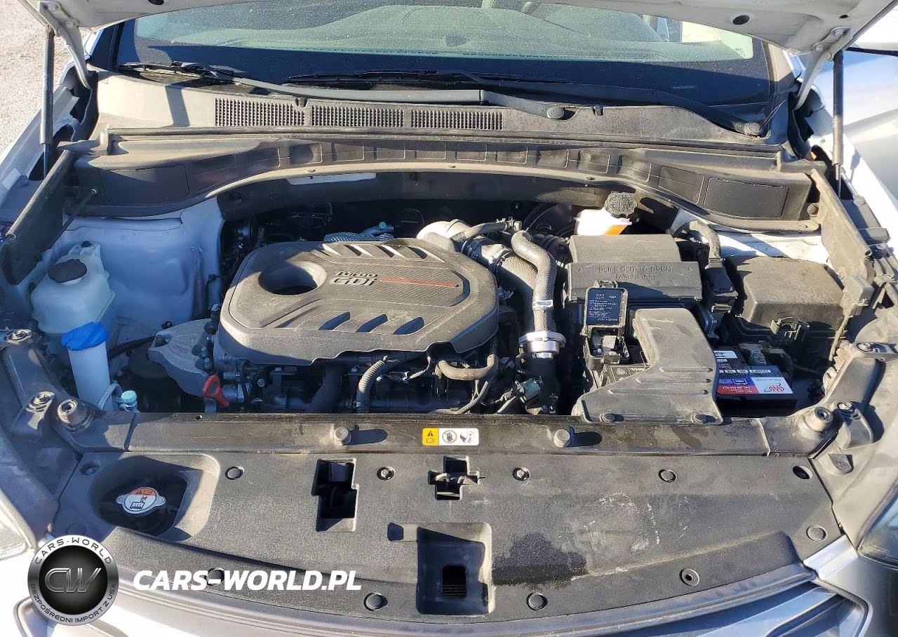 2018 Hyundai Santa Fe Sport 2.0T Ultimate VIN:5XYZW4LA6JG527540 - 12