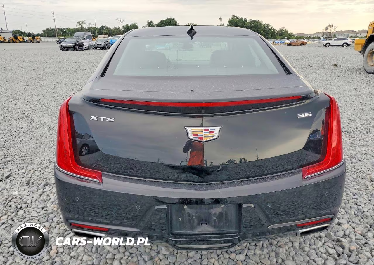 2019 Cadillac Xts Luxury VIN:2G61M5S33K9124109 - 6