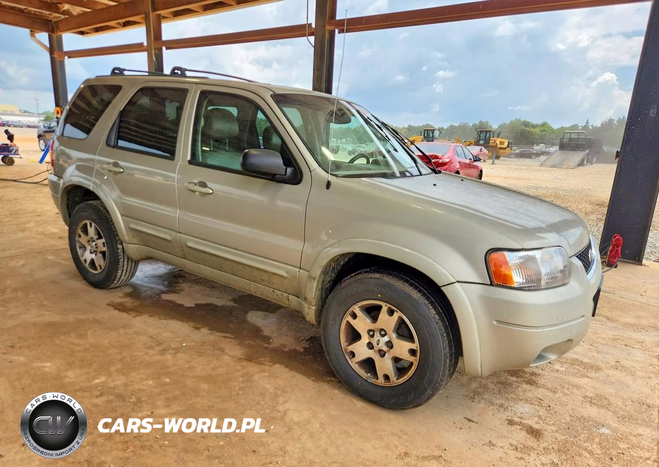 2003 Ford Escape Limited VIN:1FMCU04113KD47698 - 4