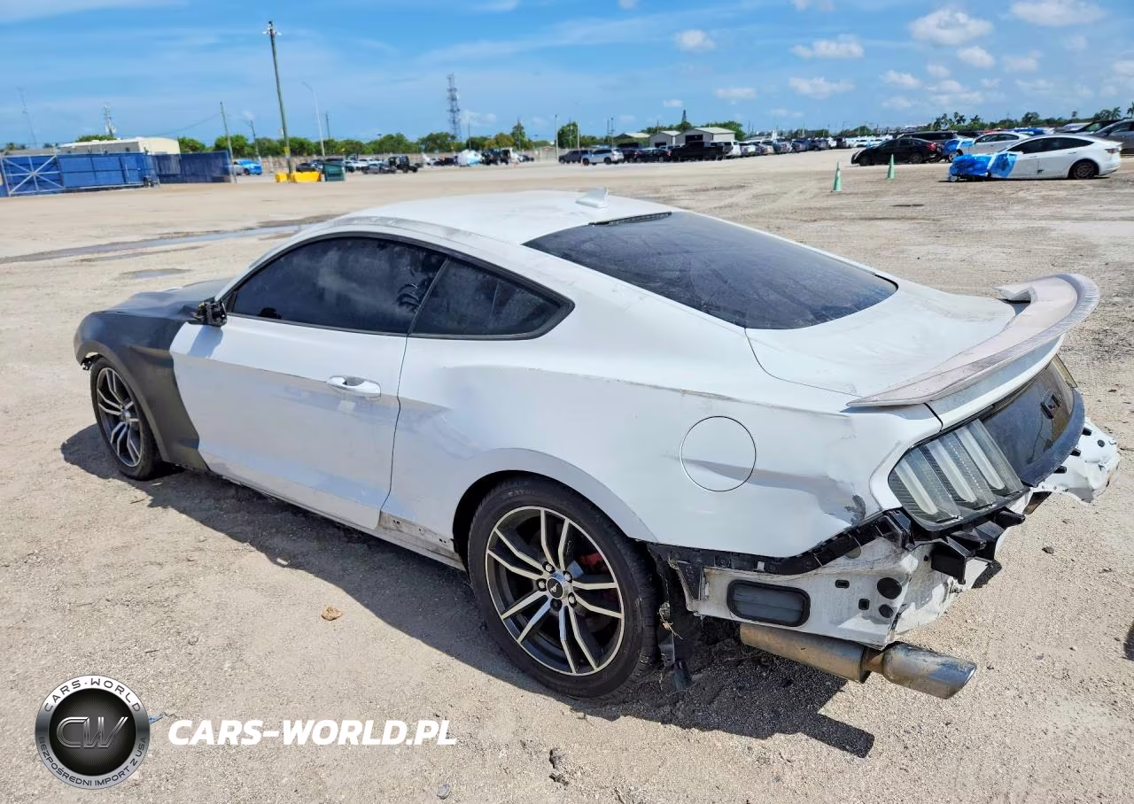 2020 Ford Mustang Gt VIN:1FA6P8CF8L5161763 - 2