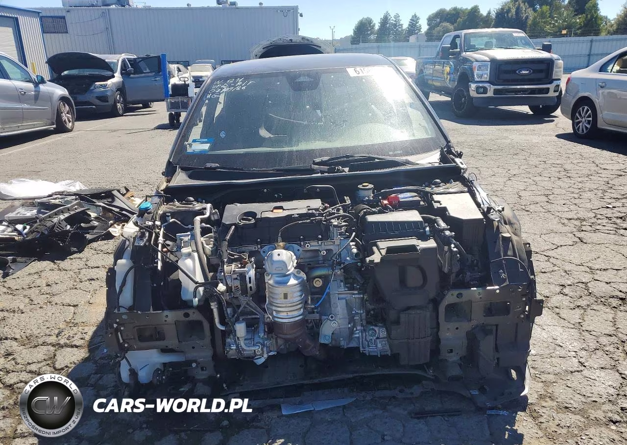 2024 Honda Civic Sport VIN:2HGFE2F59RH505703 - 5