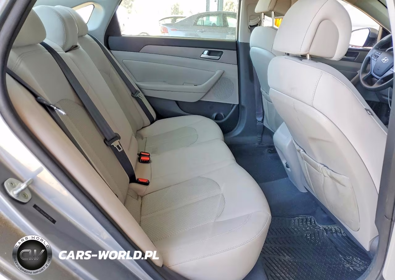 2015 Hyundai Sonata Eco VIN:5NPE24AA3FH115654 - 10
