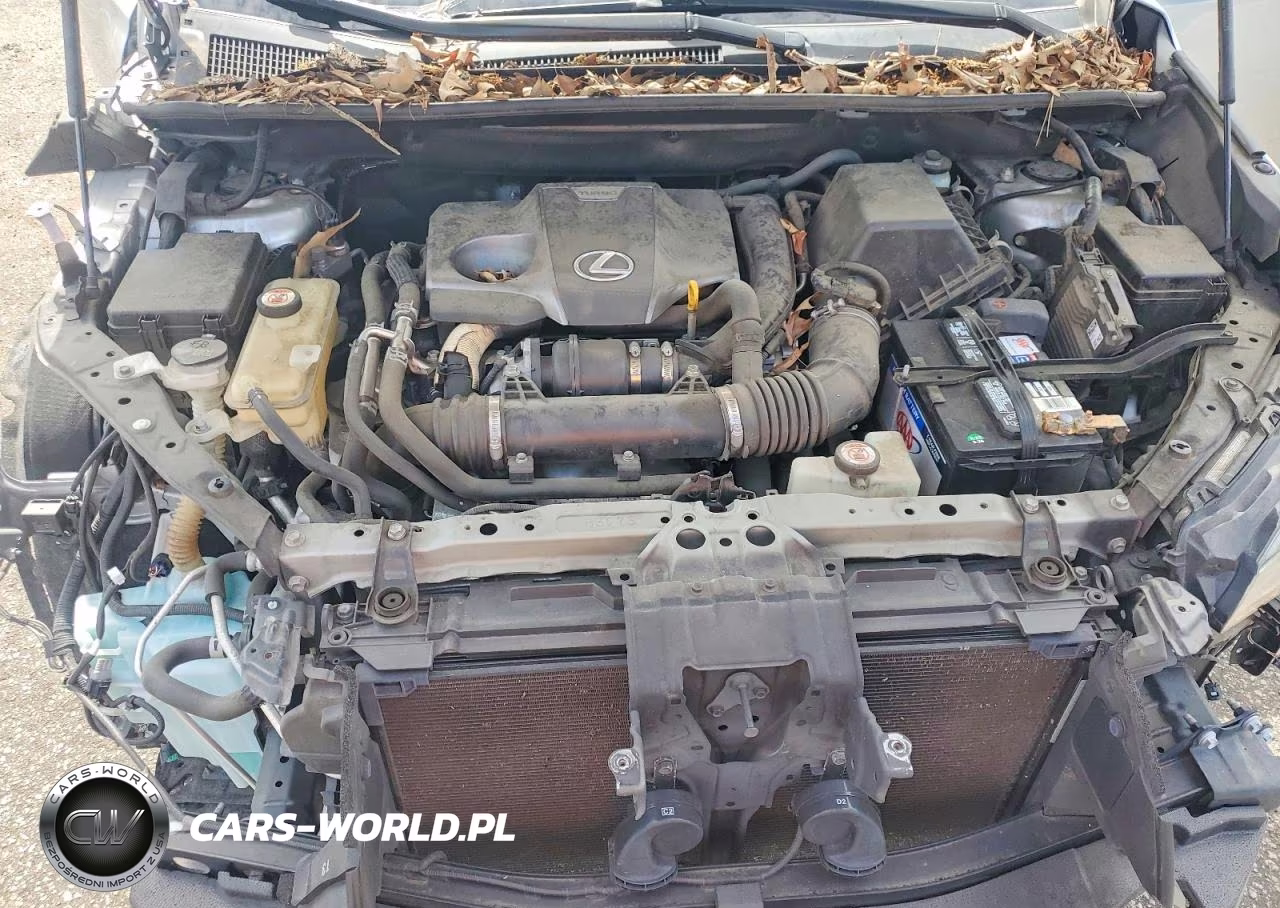 2018 Lexus Nx 300 Base VIN:JTJYARBZXJ2107785 - 11