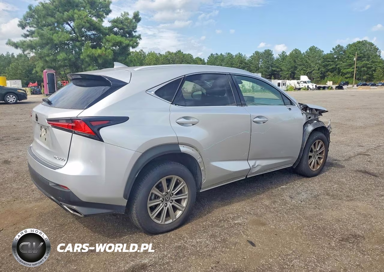 2018 Lexus Nx 300 Base VIN:JTJYARBZXJ2107785 - 3