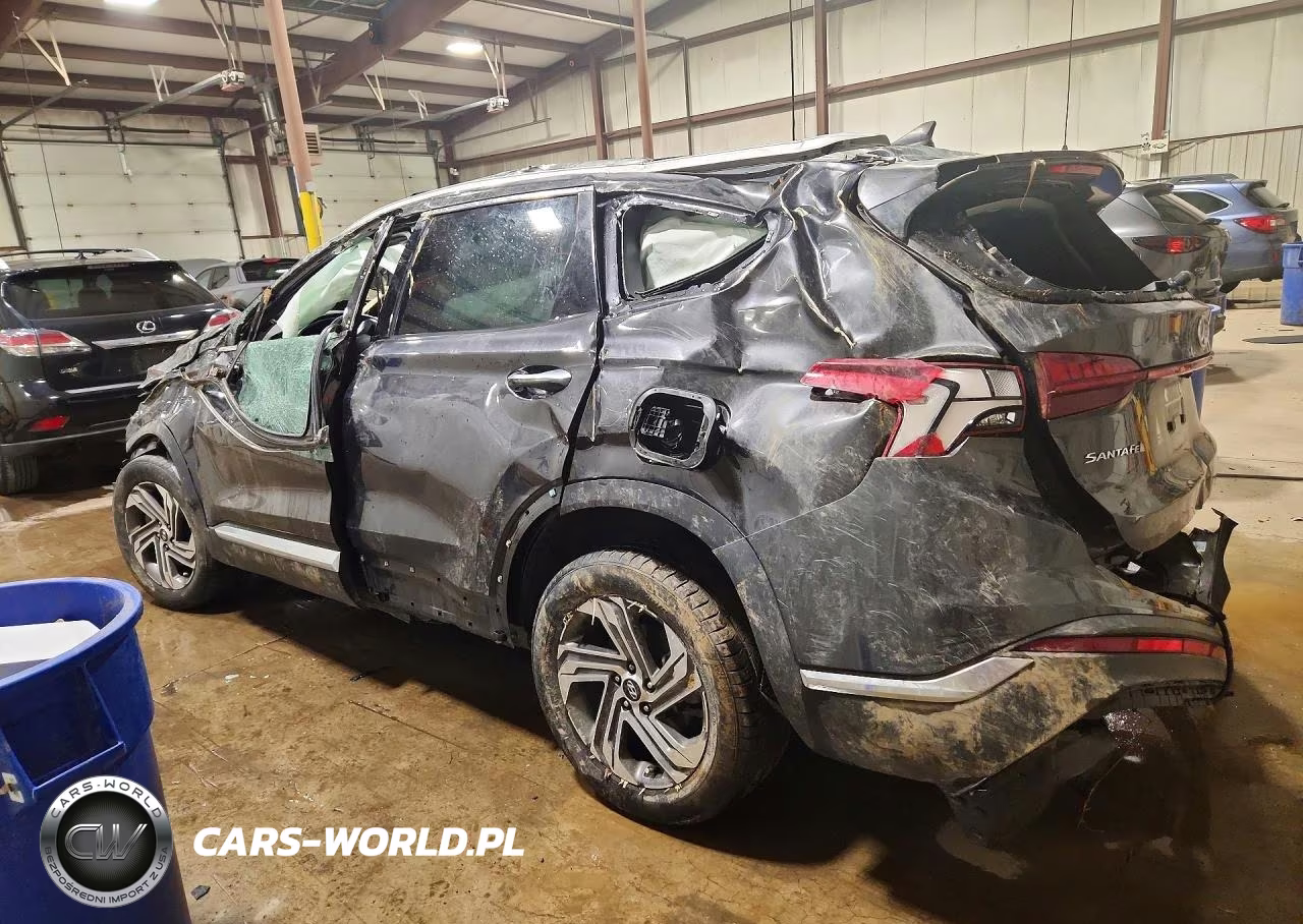 2021 Hyundai Santa Fe Sel VIN:5NMS6DAJ9MH315908 - 2