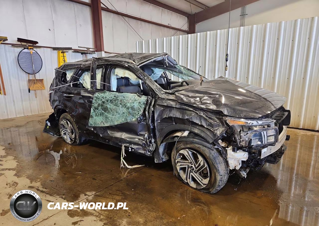 2021 Hyundai Santa Fe Sel VIN:5NMS6DAJ9MH315908 - 4