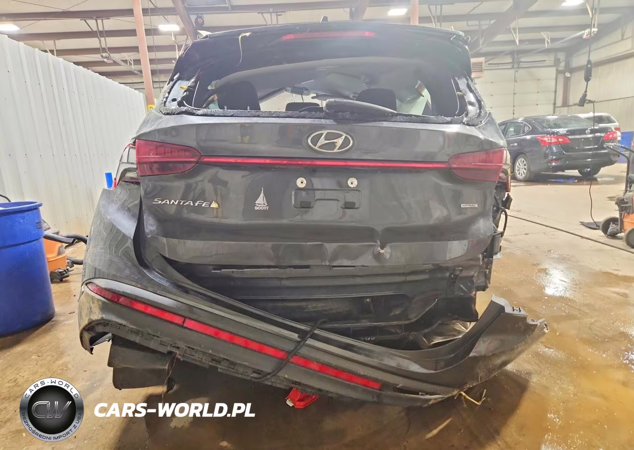 2021 Hyundai Santa Fe Sel VIN:5NMS6DAJ9MH315908 - 6