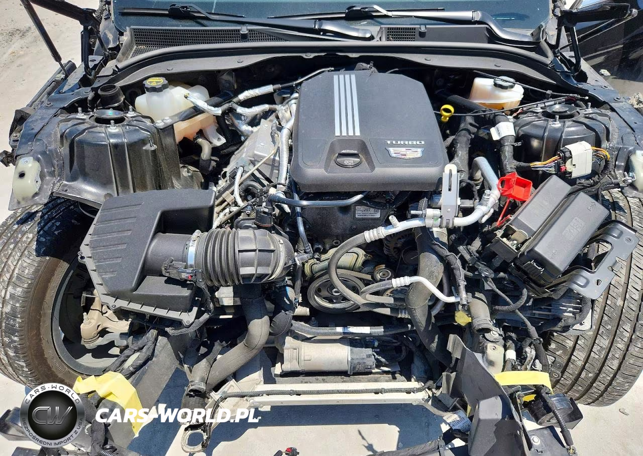 2024 Cadillac Ct5 Premium Luxury VIN:1G6DT5RK1R0123316 - 11