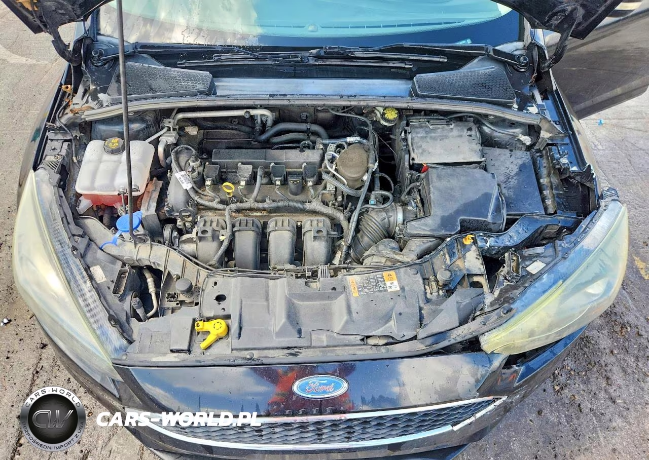 2015 Ford Focus Se VIN:1FADP3F20FL334503 - 11