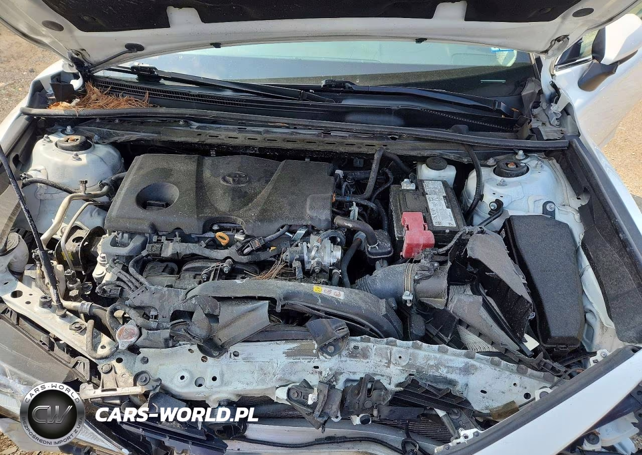 2023 Toyota Camry Le VIN:4T1C11AKXPU174964 - 11