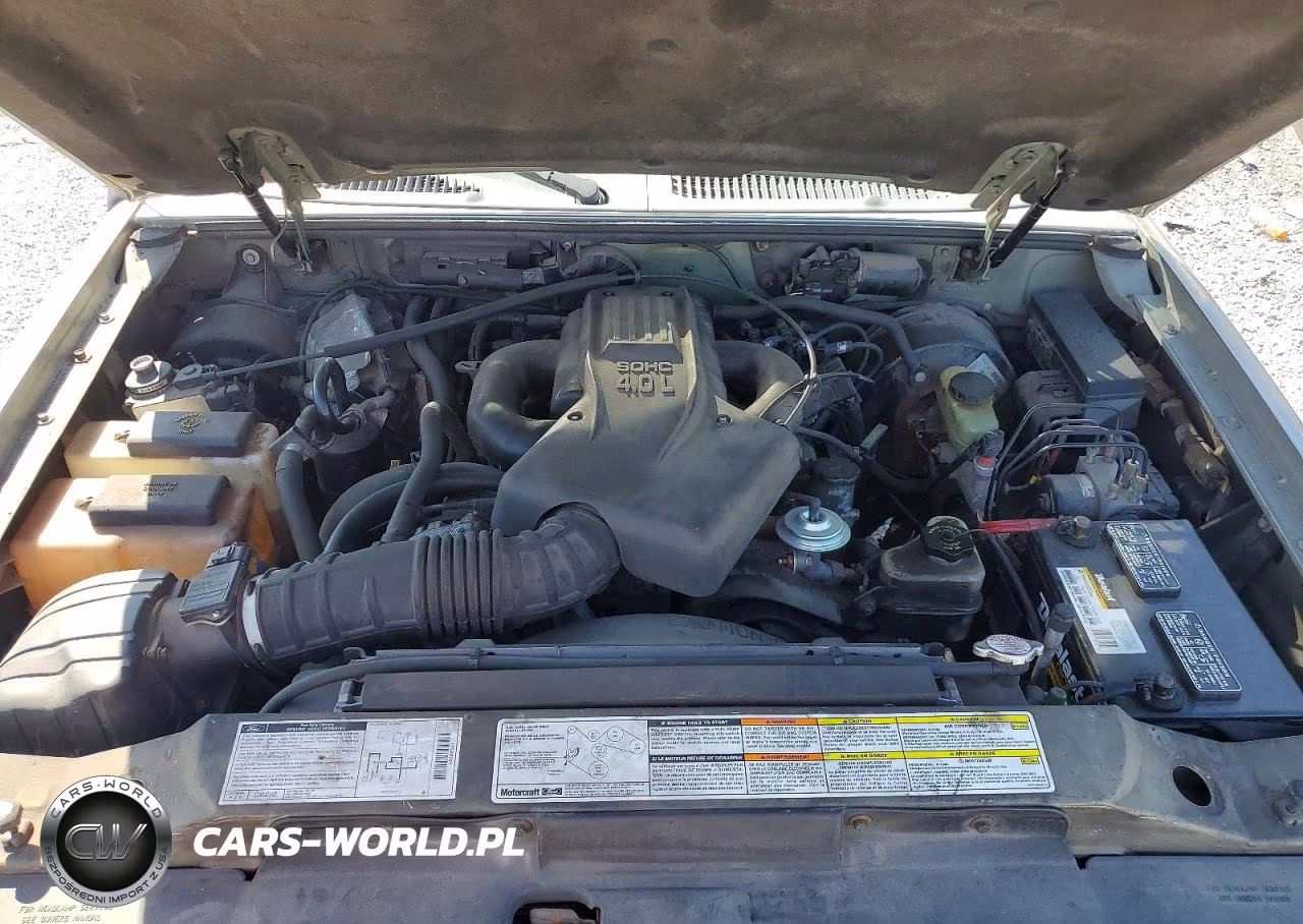 1999 Mercury Mountaineer VIN:4M2DU54E9XUJ31529 - 12
