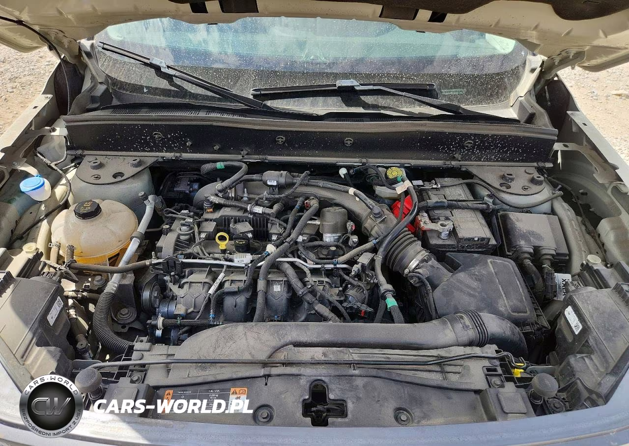 2024 Ford Bronco Sport Badlands VIN:3FMCR9D96RRE33489 - 11