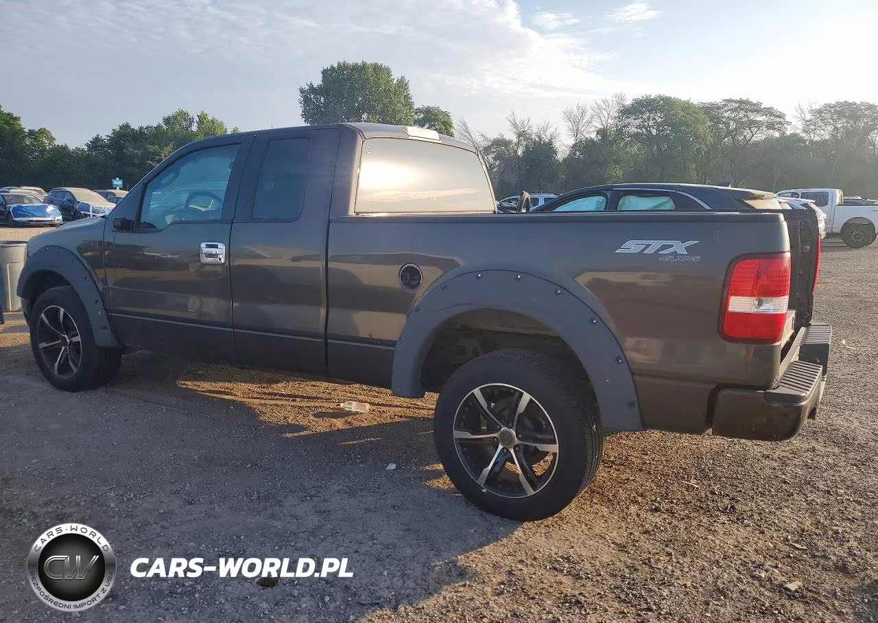2005 Ford F150 VIN:1FTRX14W35FA89834 - 2
