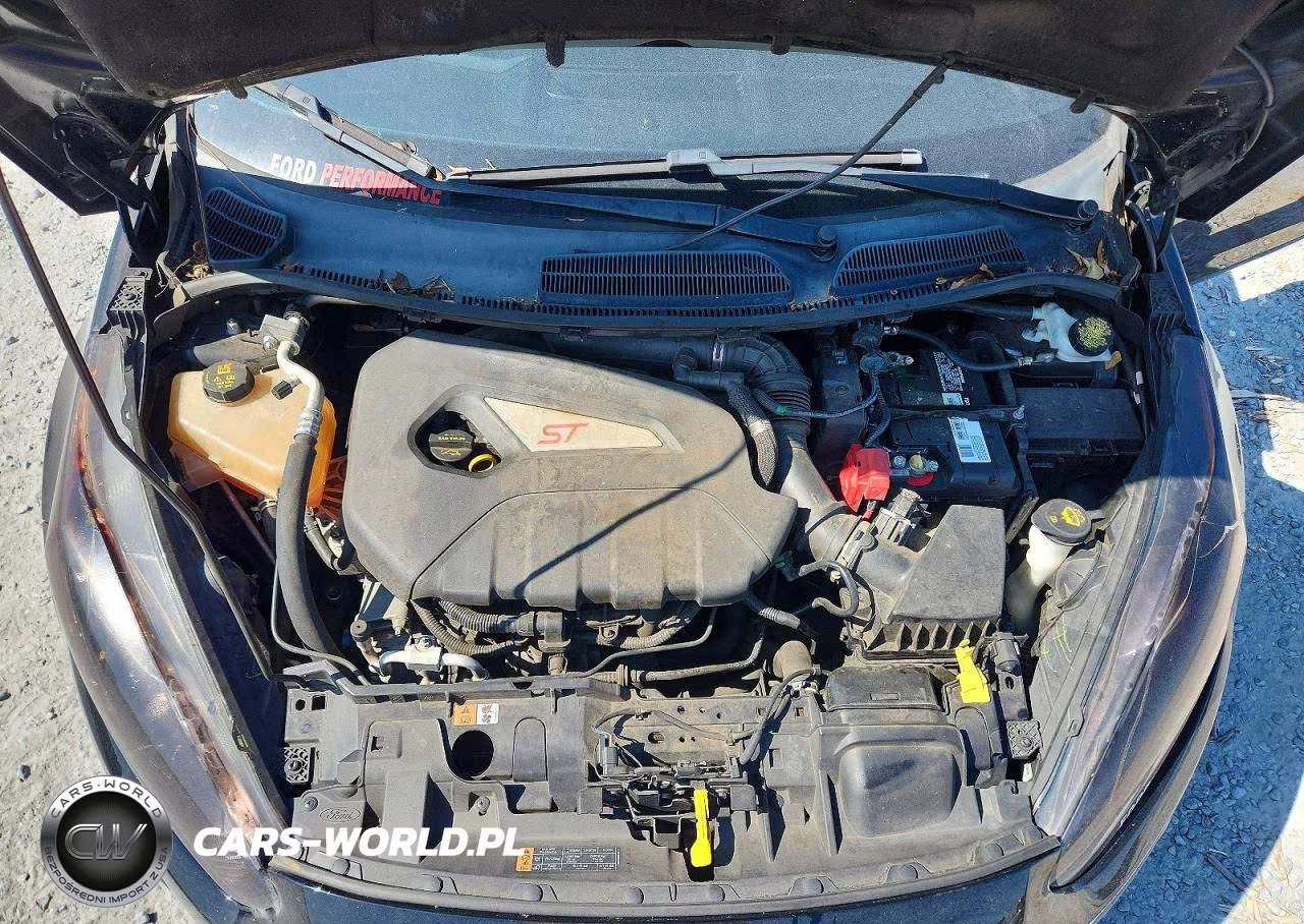 2019 Ford Fiesta St VIN:3FADP4GX0KM121124 - 11