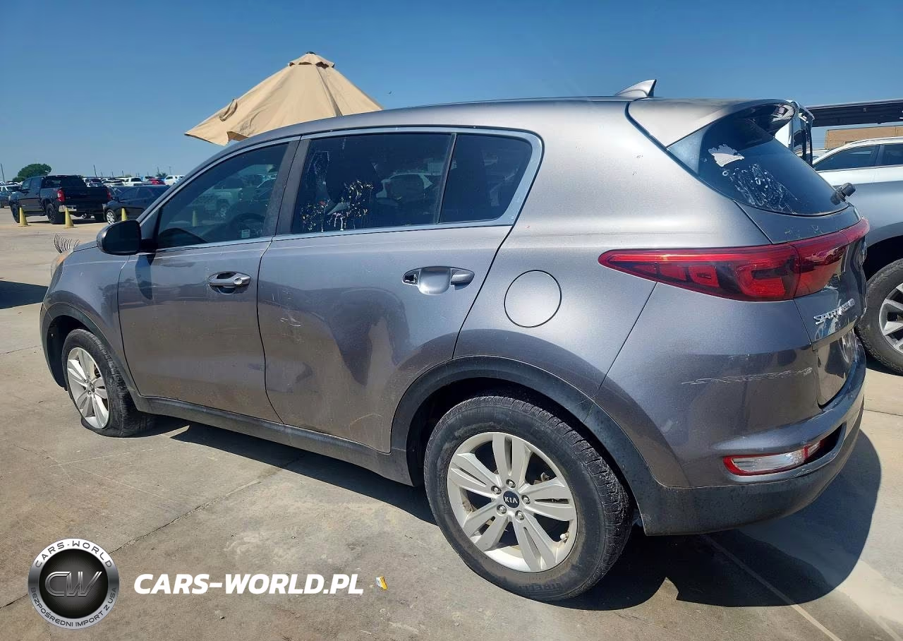 2019 Kia Sportage Lx VIN:KNDPM3AC1K7508629 - 2