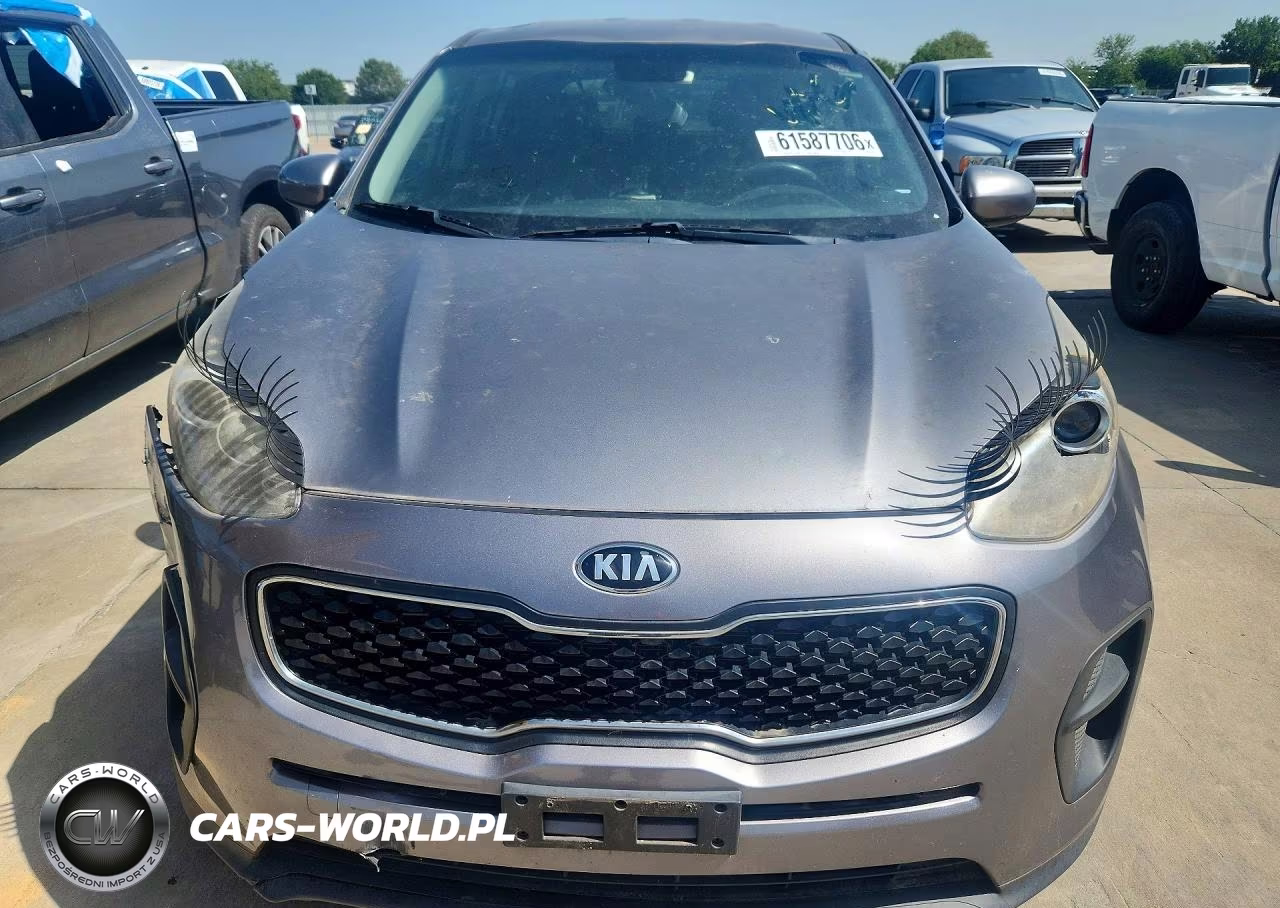 2019 Kia Sportage Lx VIN:KNDPM3AC1K7508629 - 5