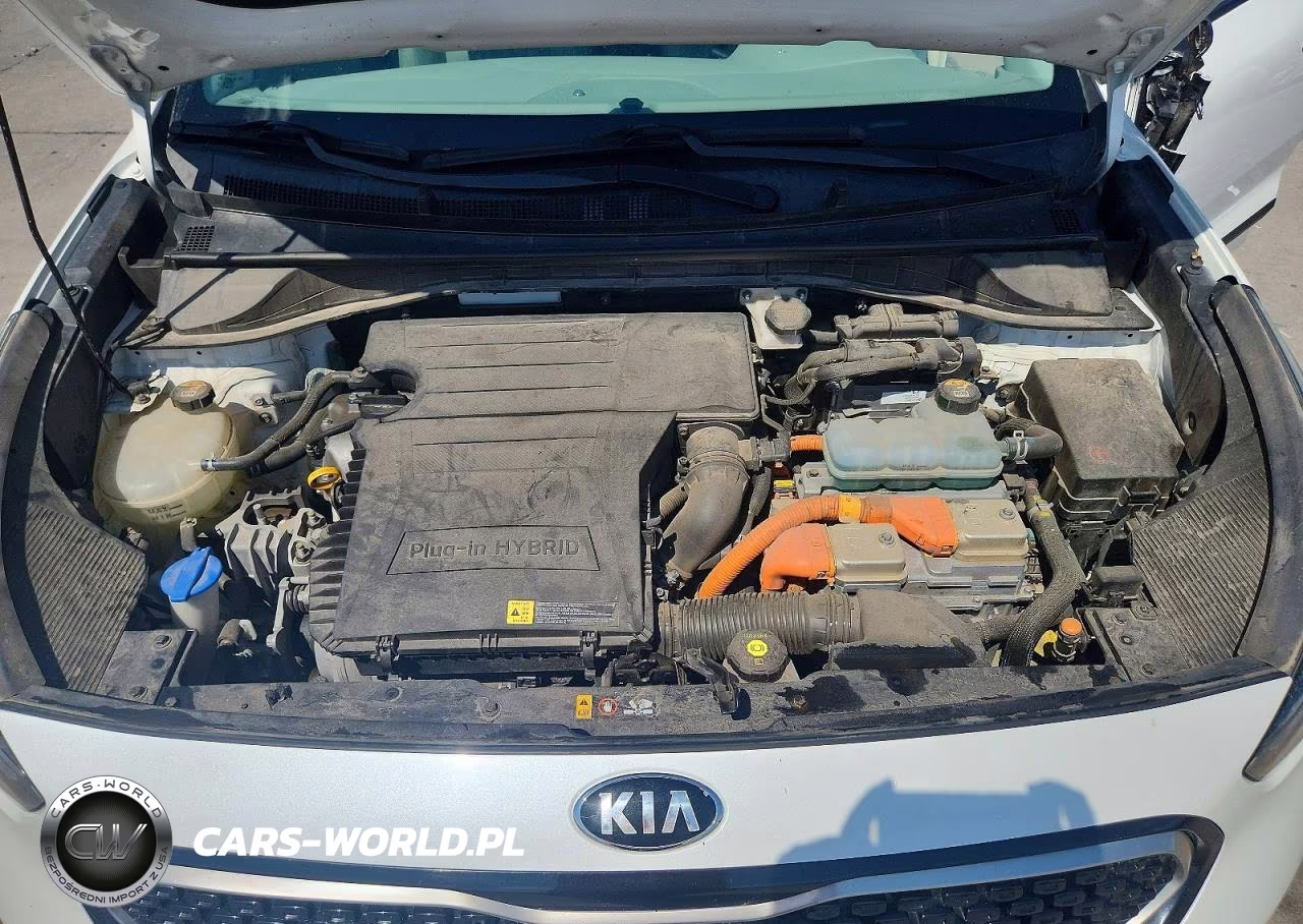 2019 Kia Niro Ex Premium VIN:KNDCC3LDXK5222149 - 12